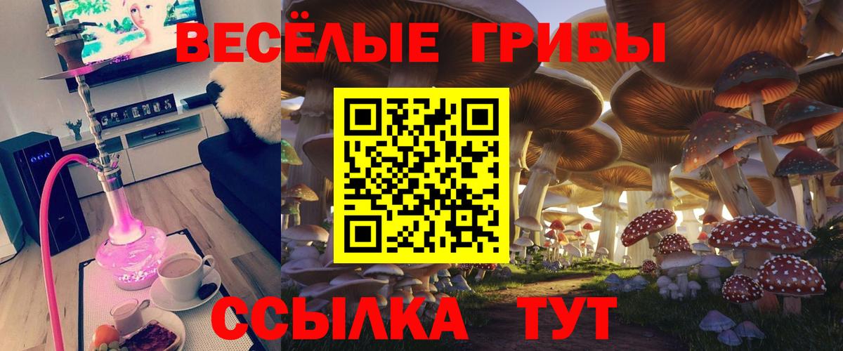 Галлюциногенные грибы Psilocybine cubensis  Галлюциногенные грибы Magic Shrooms  Вход с VPN  Тула 