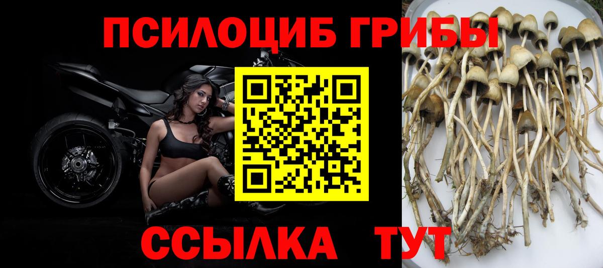 Галлюциногенные грибы мицелий Тула